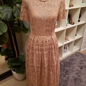 Stunning New Lace Dress